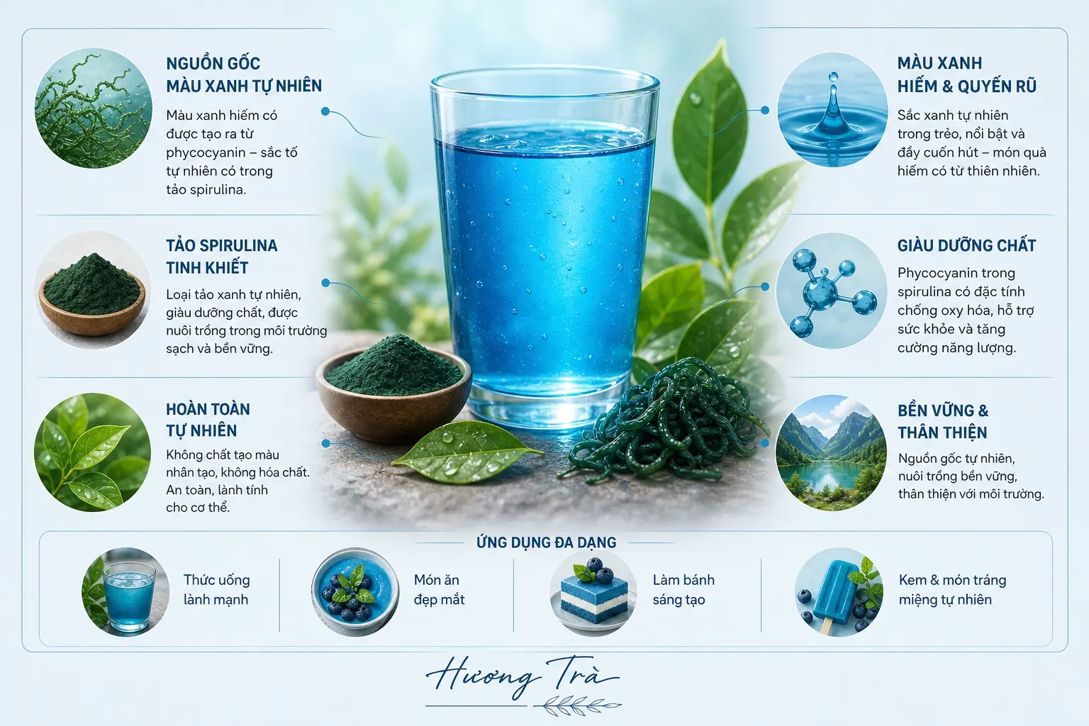 Phycocyanin là gì mà làm tảo xoắn có màu xanh lam đặc biệt? 6 Khi màu xanh lam không chỉ là màu sắc