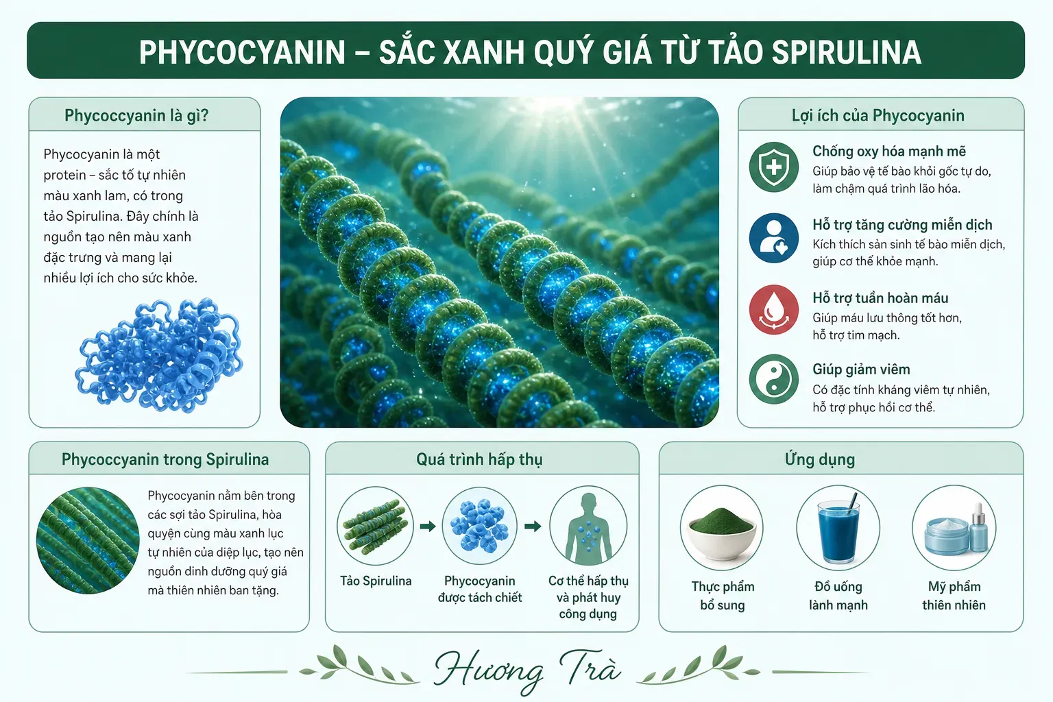 Phycocyanin là gì mà làm tảo xoắn có màu xanh lam đặc biệt? 7 Phycocyanin: Sắc tố protein ẩn mình trong tảo xoắn