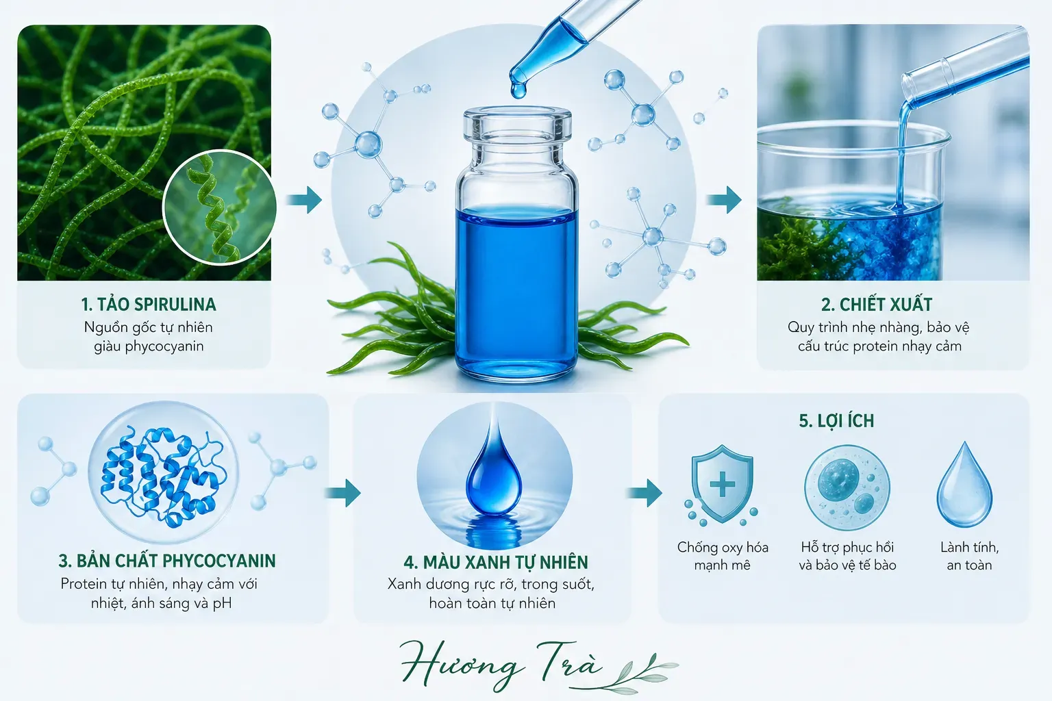 Vì sao màu xanh lam tự nhiên lại khó làm trong thực phẩm và đồ uống? 7 Phycocyanin: Câu chuyện về sắc tố xanh lam từ tảo xoắn