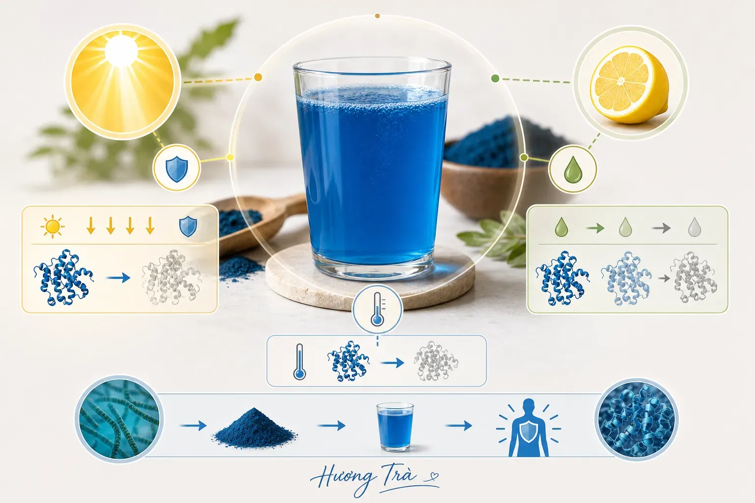 Phycocyanin trong đồ uống: Đẹp thôi chưa đủ, cần hiểu độ bền màu 7 Phycocyanin là gì mà khiến người làm đồ uống phải