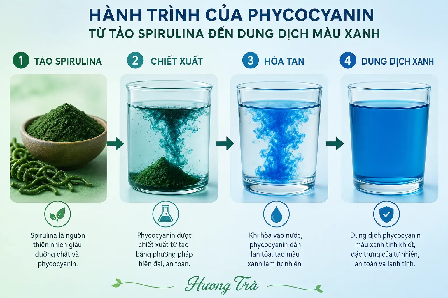 Phycocyanin: Sắc xanh lam tự nhiên từ tảo xoắn