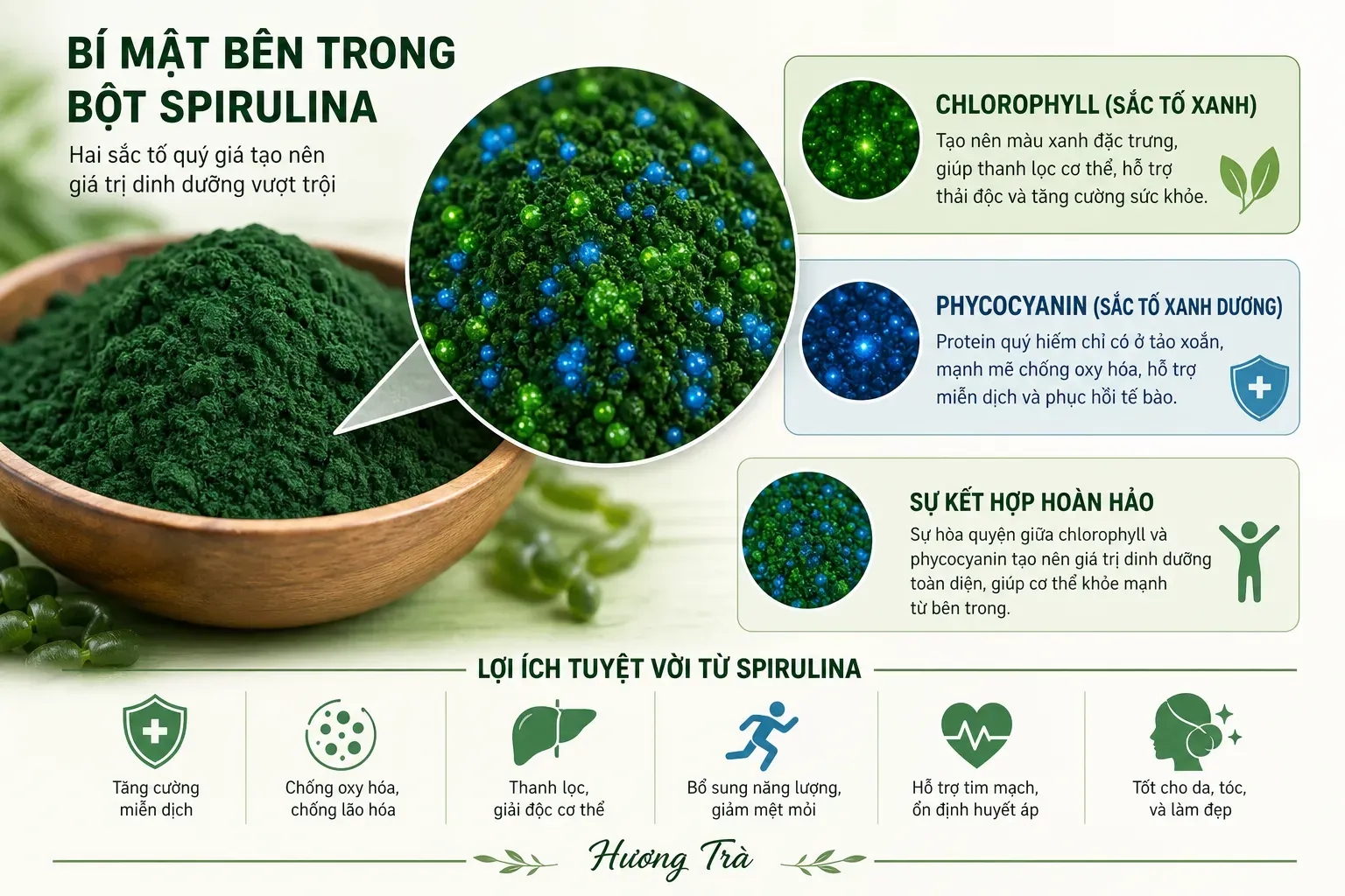Khi màu xanh của tảo xoắn không chỉ là một sắc thái