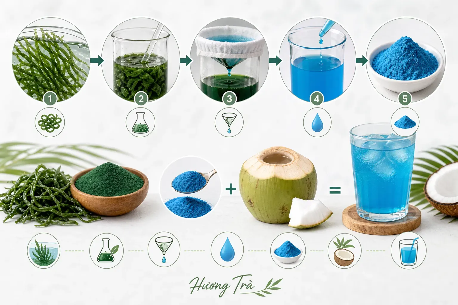 Giải mã sắc xanh tự nhiên: Không chỉ là màu sắc, đó là câu chuyện nguyên liệu