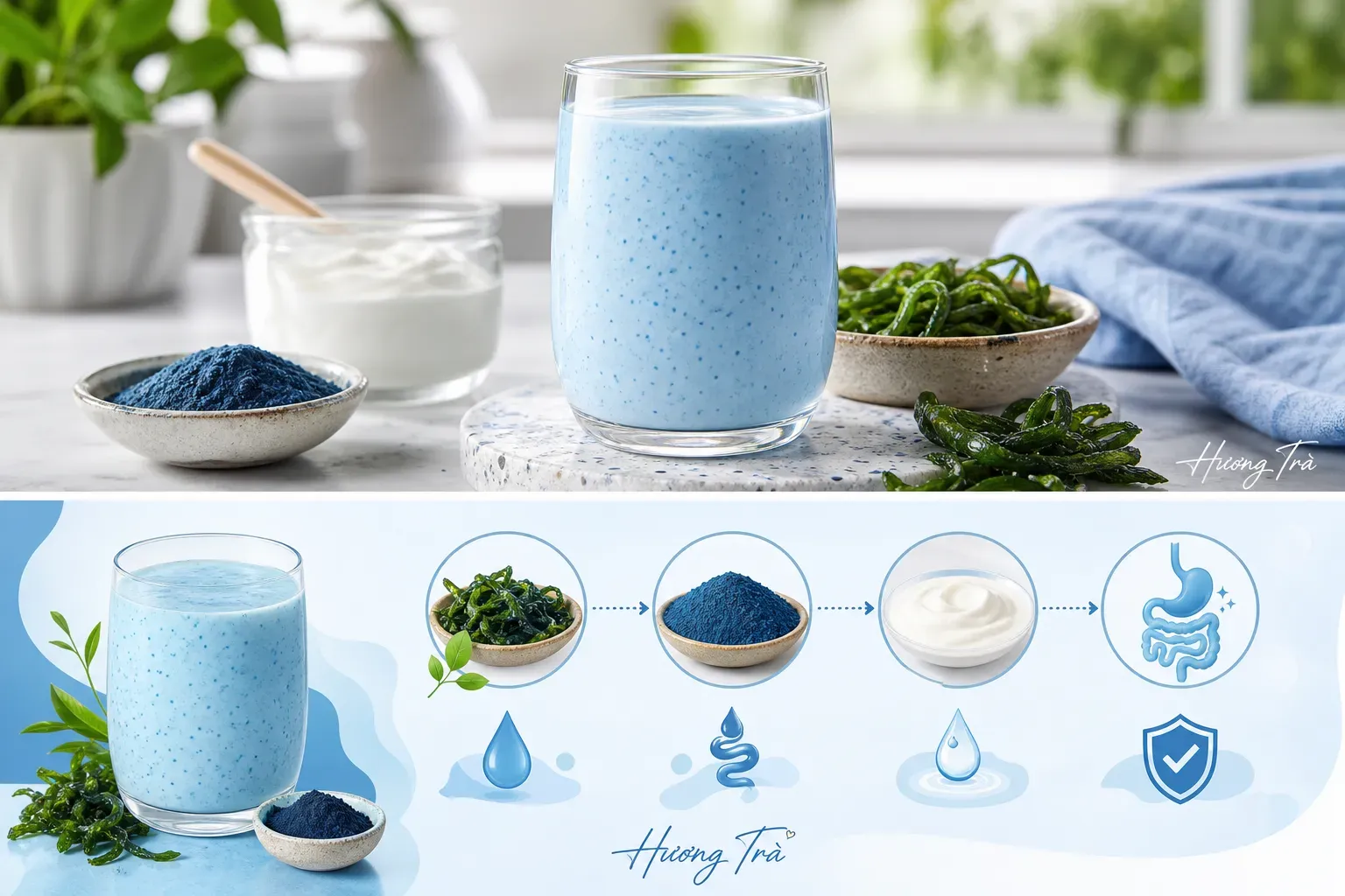 Tại sao sữa chua lại là "người bạn đồng hành" lý tưởng của phycocyanin?