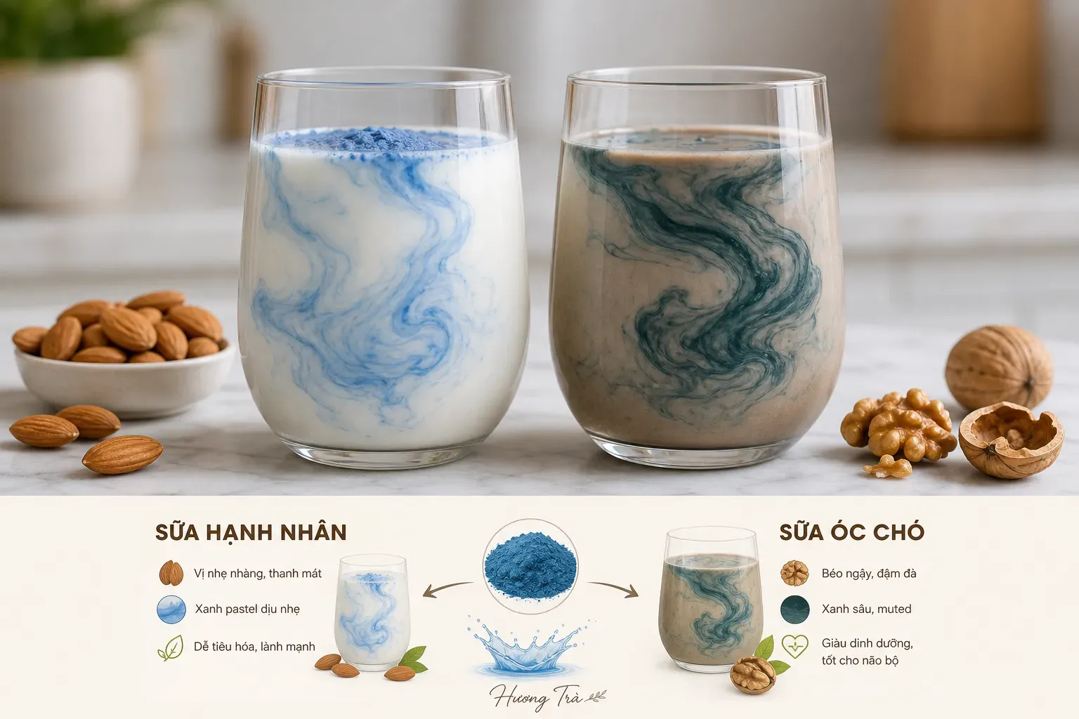Sữa hạt và sắc xanh: Sự kết hợp đầy ngẫu hứng